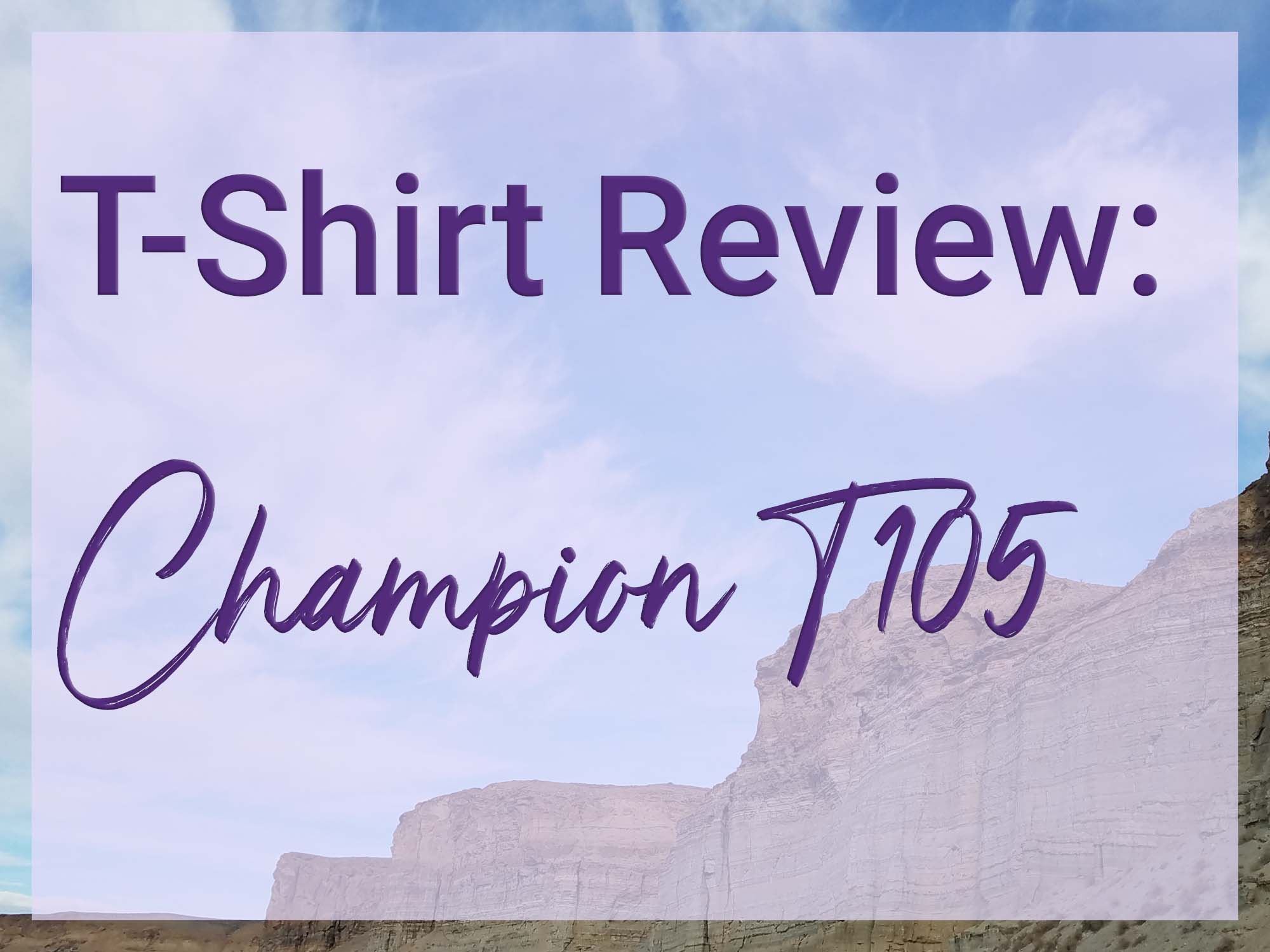 Editor Vejrtrækning Trunk bibliotek Men's Champion Short Sleeve T-Shirt T105 Review - Quirky Neighbor